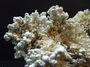 aragonite