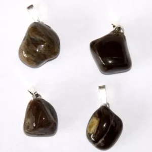 pendentif bois fossile