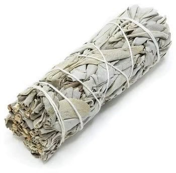 Sauge blanche de Californie à brûler – Bâton 10 cm – Image 3