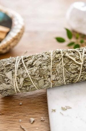 Sauge Bleue de Californie (Blue Sage) – Fagot de Purification Naturelle