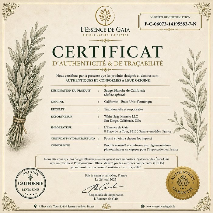 Sauge blanche de Californie à brûler – Bâton 10 cm – Image 2