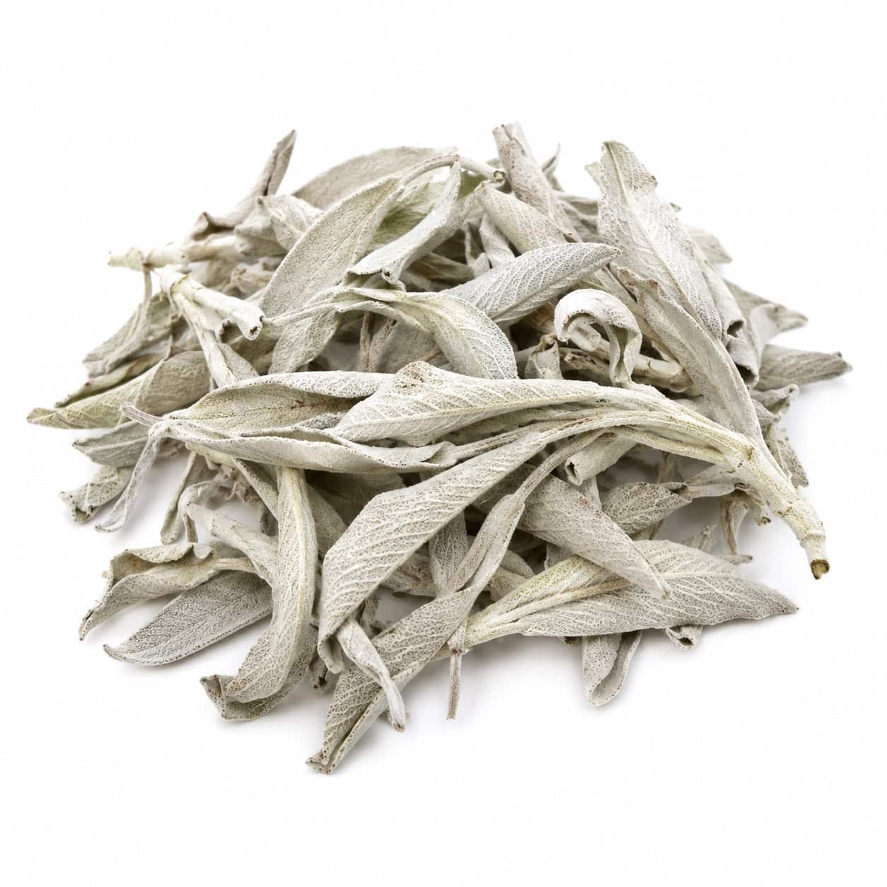 Sauge Blanche en Feuilles de Californie USA